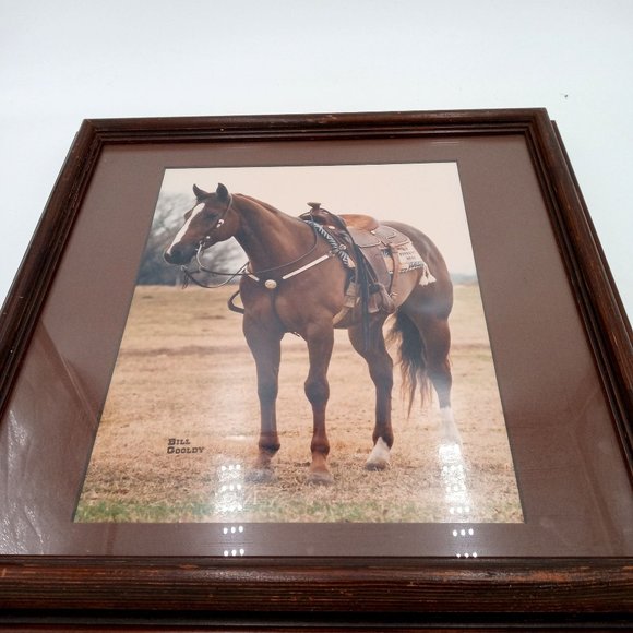 Beautiful Horse Photograph Framed Found Photo Art Cowboy Western Ranch Decor 14 - Picture 2 of 13